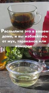 как приготовить эффективное средство от комаров и мошек своими рукам Raspylite Eto V Vashem Dome I Vy Izbavites Ot Muh Tarakanov Ili Komarov In 2020 Diy And Crafts Storage Organization Food
