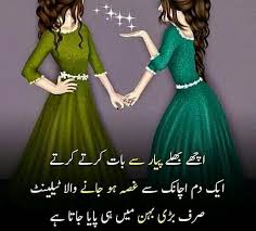 Happy Birthday Wishes For Elder Sister In Urdu Pin By Bakhtawer Bokhari On Sisters Funny Girl Quotes Cute Funny Quotes Sister Quotes Funny