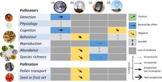 Could electronic pest repellers harm them? Risk To Pollinators From Anthropogenic Electro Magnetic Radiation Emr Evidence And Knowledge Gaps Sciencedirect