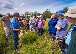 Full article: Participatory Augering: A Methodology for Challenging  Perceptions of Archaeology and Landscape Change