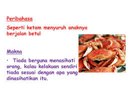 Cikgu fizah akan berkongsi peribahasa melayu maksudnya dan contoh ayat sebagai rujukan murid/pelajar/guru dalam sesi pembelajaran bahasa melayu. Ppt Senarai Peribahasa Powerpoint Presentation Free Download Id 1945284