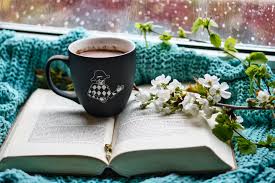 Does the main character bring justice in an unjust world, travel the seven seas, and still have time to fall in love? Seven Of The Best Book Series For Adults