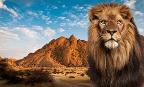 C'est la bonne adresse pour des plans vol et hotel pas cher au maroc. Afrique Appartenance Voyages Triangle