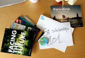 Bioengineering undergraduate research scholar fund scholarship. Applying For A Swedish Institute Scholarship Masters A Walk Through