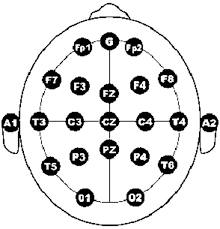 Standard 10 20 System For Eeg Electrotrode Placement See 14