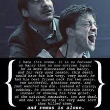 Remus Lupin Harry Potter Universal Harry Potter Obsession Harry