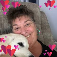 Plowing services near Bath, MI?