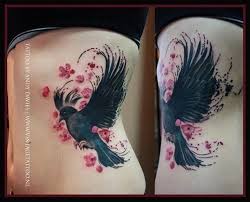 Pied Crow Black Bird With White Ring Around Neck Black Bird Black Bird Tattoo Birds Tattoo Tattoos