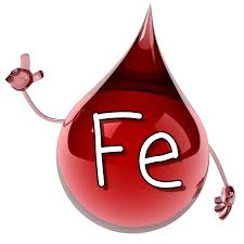 Quali sono gli alimenti ricchi di ferro. La Carenza Di Ferro E L Anemia Sideropenica Ncf