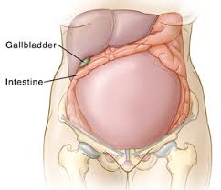 Abdominal Pain In Pregnancy Gallstones Articles Mount Nittany Health System