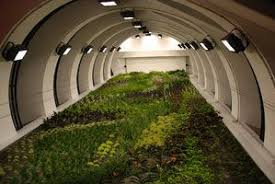 Lyon Vertical Garden Patrick Blanc Vertical Garden Vertical Garden Design Interior Vertical Garden