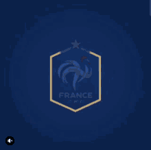 Fichier:logo équipe france football 2018.svg — wikipédia. Go France Gifs Tenor