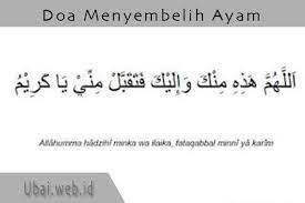 Bacaan Doa Menyembelih Ayam Jantan Dan Betina Ubaiblog