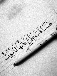 ضاقت علي كأنها تابوت لكنما يأبى الرجاء يموت Postive Quotes Words Quotes