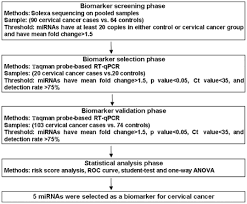 expression profile of circulating micrornas as a promising