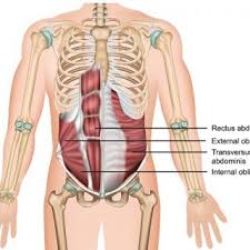 Lean backwards, side to side and rotate as far as possible to the right and left. How To Heal From Piriformis Syndrome As Quickly As Possible