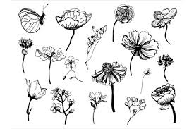 Shutterstock.com has been visited by 100k+ users in the past month Vector Collection Of Hand Drawn Flowers Graphic By Ksenia Shuneiko Creative Fabrica
