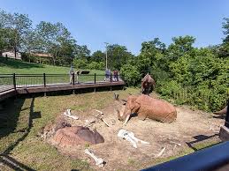 Holidu.com has been visited by 10k+ users in the past month Big Bone Lick State Historic Site Ky Parks