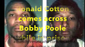 Picking Cotton Trailer