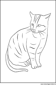 Malvorlagen mario und yoshi yoshi. Grundschule Haustiere Ausmalbilder Wallpaper Page Of 1 Images Free Download Haustiere Ausmalbilder Papagei Ausmalbilder Prinzessin Haustiere My Little Pony Ausmalbilder Haustiere Haustiere Suchbild Daf Ausmalbilder