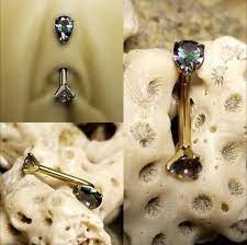 U22 Body Jewelry Internally Threaded For Use In Vch Navel Belly Button Christina Vertical Clitoral Hood Etc Body Jewelry Intimate Body Jewelry Piercing