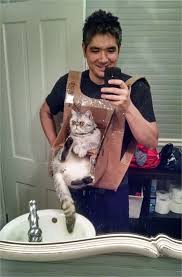 Diy Cat Chest Harness