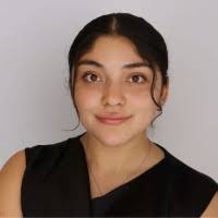 50+ "Cerna" profiles