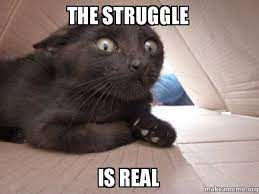 We would like to show you a description here but the site won't allow us. Memes Struggle Is Real Wattpad