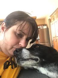 Coping with the loss of a beloved pet, a Yorkie companion