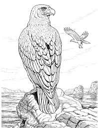 This option is good for easter since the bunny is holding an egg in one hand and a paint brush in the other. Eagle Coloring Pages