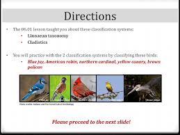 Ppt 06 01 Classification Of Living Organisms Powerpoint