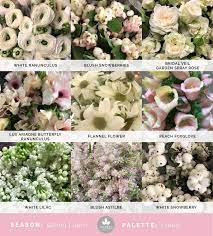 Mayesh Cooler Picks Crepe Ranunculus Flowers Blush Flowers April Flowers