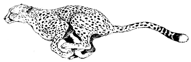 Martin kratt with spot swat cheetah cub coloring page free. Cheetah Printable Coloring Pages Coloring Home