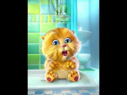 Youtube Birthday Songs Happy Birthday Cat Funny Happy Birthday Song