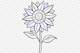 Maybe you would like to learn more about one of these? Menggambar Sketsa Seni Bunga Matahari Umum Daun Bunga Matahari Putih Pensil Png Pngegg