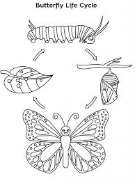 Jun 11, 2018 · from super simple butterfly coloring pages toddlers and preschoolers will easily color through friendly looking ones kids in kindergarten will love to realistic ones older kids and you will love. Printable Butterfly Lifecycle Coloring Page 113 Coloring Me Role