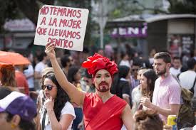 Constitución, códigos, leyes y otros actos legislativos. Las Imagenes De La Marcha Del Orgullo Gay En Medellin
