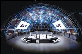 Ufc 254 took place saturday, october 24, 2020 with 12 fights at ufc fight island in abu dhabi, dubai, united arab emirates. Fight Island Concept Debuts In Abu Dhabi On Sunday Arab News