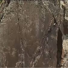 A massive treasure trove of more than 1,200 ancient petroglyphs and a rare  Old Turkic runic inscription have just been discovered in Kazakhstan's  Zhambyl region. Spanning multiple historical eras from the Bronze