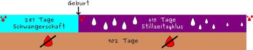 Fruchtbar sind sie das erste mal zwei wochen bevor die menstruation wieder einsetzt. Erste Periode Nach Geburt Trotz Stillen