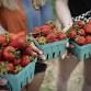 Moon Valley Farm 2025 Strawberry Festivals!