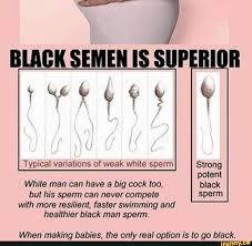 She is never enough of man's sperm. Typical Variations Of Weak While Sperm White Man Can Have A Big Cock Loo Bu His Sperm Can Never Compete With More Msiliem Faster Swimming And When Making Babies The Only Real