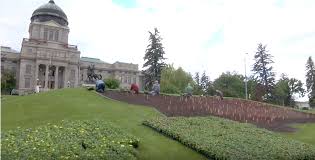 1 bed, 1 bath and 2 beds, 1 bath and 3 beds, 2 baths. Summer Flowers Flood Capitol Lawn Abc Fox Montana Helena Montanarightnow Com