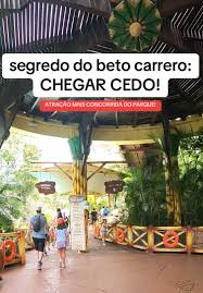 Dicas para Aproveitar o Beto Carrero World