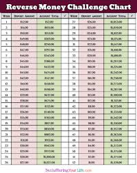 savings chart bismi margarethaydon com