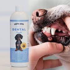 Dog Mouth Rinse Free Delivery Www Workscom Com Br