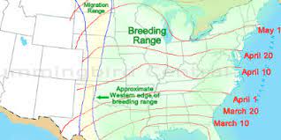 Rumble — hummingbird flew in to the screened in porch. Hummingbird Migration In The Spring And Fall Through The United States And Canada Spring Hummingbird Migration Map Migration Patterns Migration Times Hummingbird Sightings
