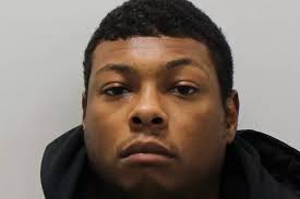 Croydon drug gang had huge cannabis factory growing in South Norwood home