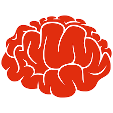 Brain Png Clip Arts For Web Clip Arts Free Png Backgrounds