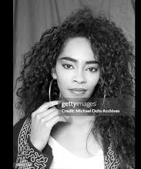 Old Orchard Mall Chicago (1960s)